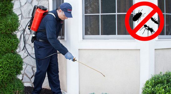 Sivrihisar Bit İlaçlama böcek ilaçlama ve haşere kontrolü — ilaclama-tr.com